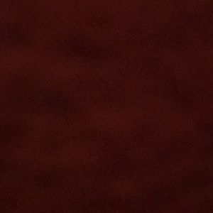 Meet your Posher, Nina